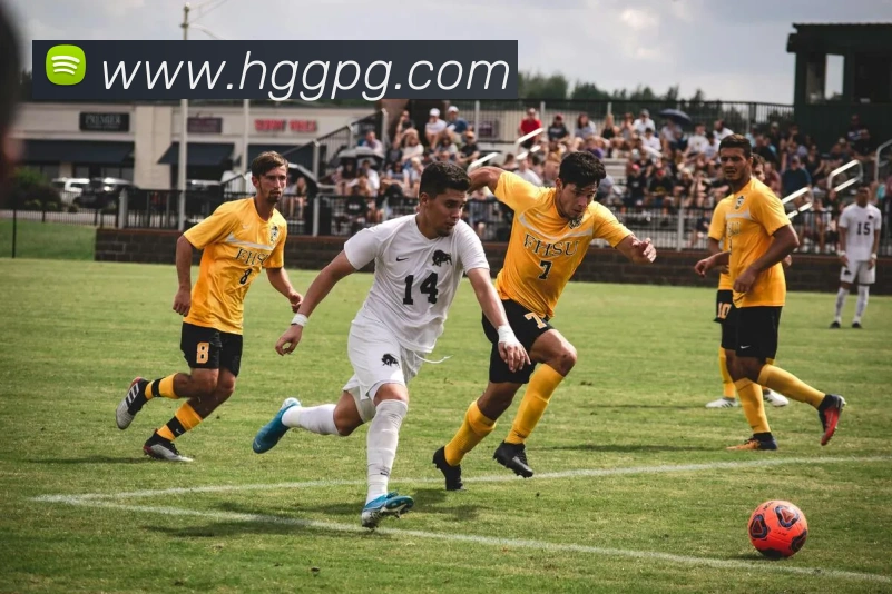 pg官网APP 高清赛事图